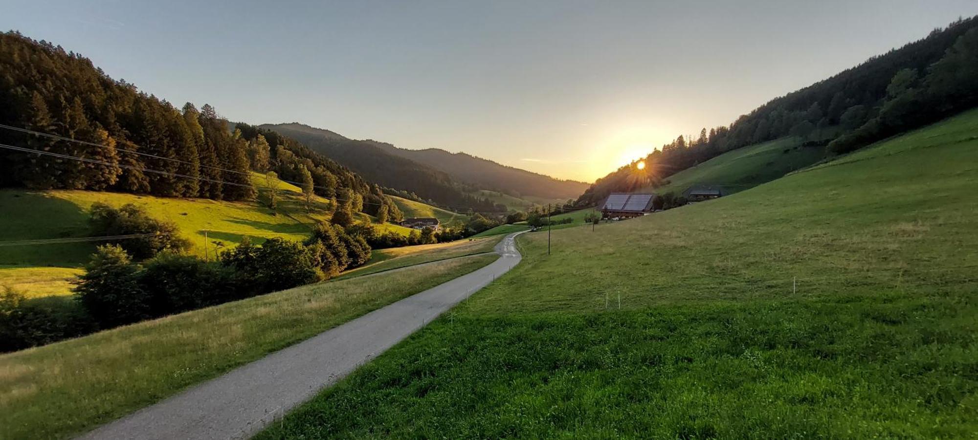 Apartamento Irgendwo Im Schwarzwald Elzach Exterior foto